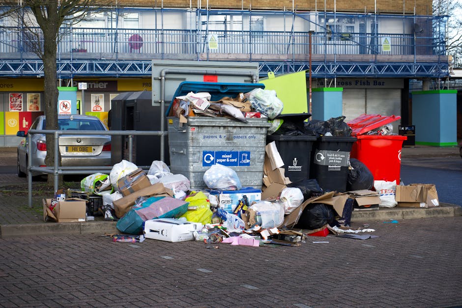 In the foreground, a pile of assorted rubbish is stacked on a paved driveway, including large black plastic garbage bags, cardboard boxes, and loose debris such as plastic containers and paper waste. 